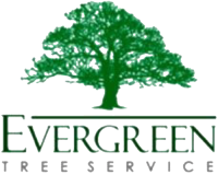Evergreen Tree Service logo